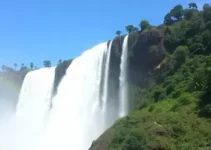 Detran Foz do Iguaçu
