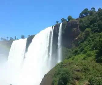 Detran Foz do Iguaçu