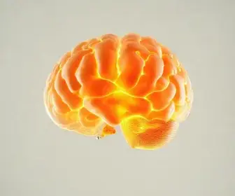 vitamina D
