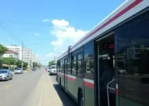 ônibus grátis nas eleições